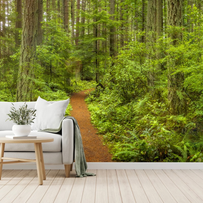 Fototapete friedlicher waldpfad – Wallnifity®