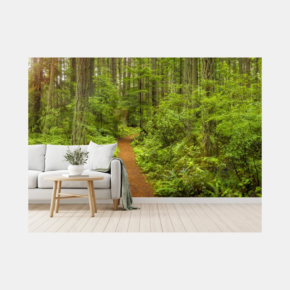 Fototapete friedlicher waldpfad – Wallnifity®