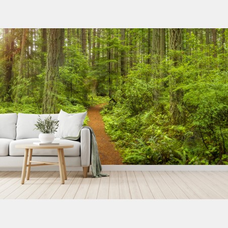 Fototapete friedlicher waldpfad – Wallnifity®