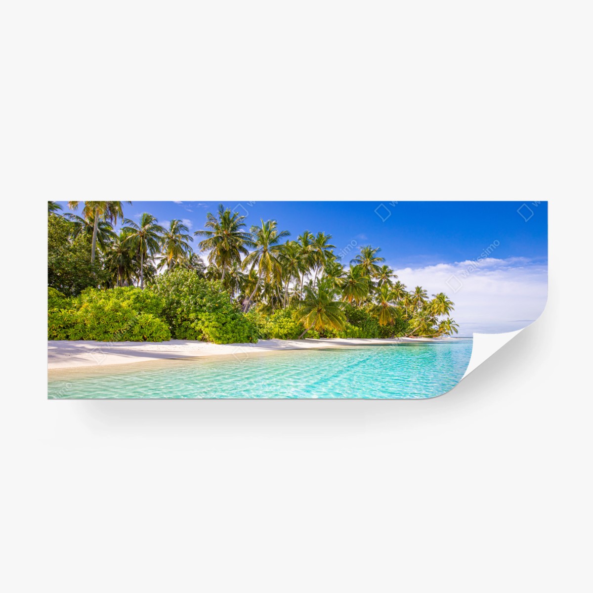 Fototapete tropischer palmenstrand – Wallnifity®