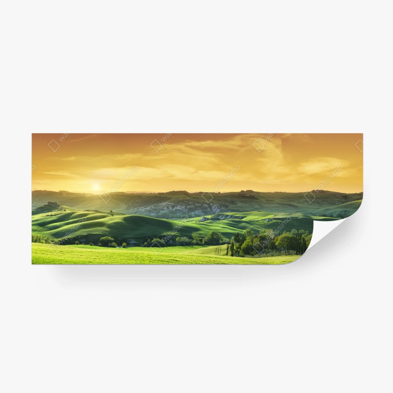 Fototapete zarte löwenzahnsamen in blau – Wallnifity®