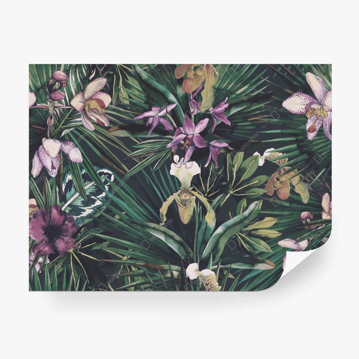 Fototapete tropische orchideen in aquarell und palmblättern – Wallnifity®