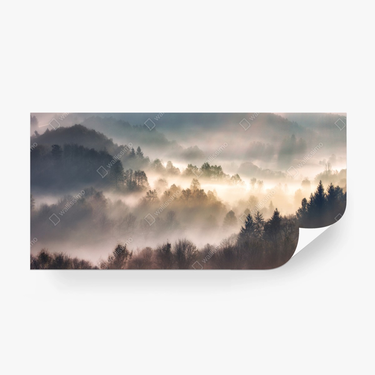 Fototapete nebliger wald im morgengrauen – Wallnifity®