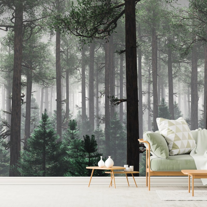 Fototapete nebliger immergrüner wald – Wallnifity®