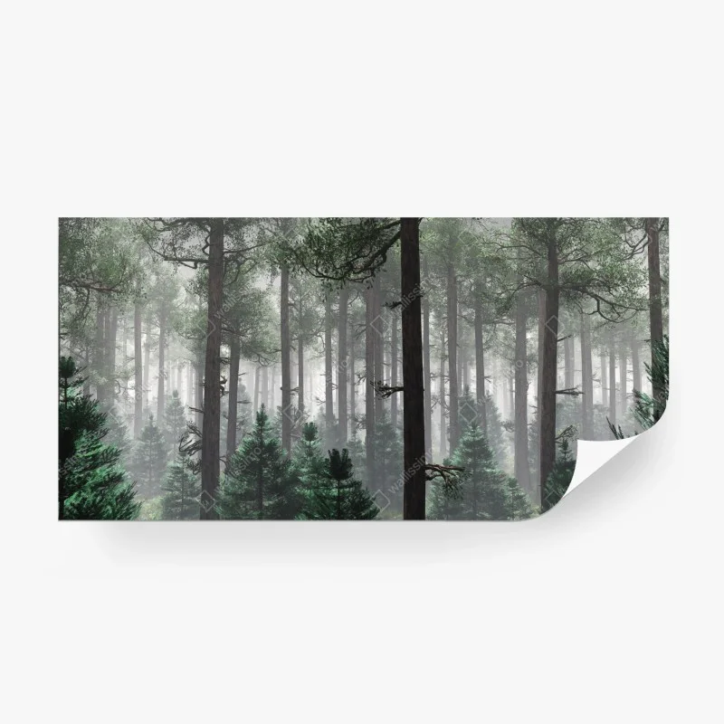 Fototapete nebliger immergrüner wald
