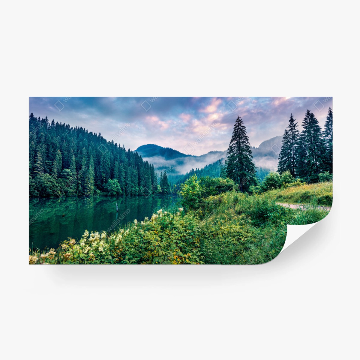 Fototapete nebliger sonnenaufgang über Lacu Rosu – Wallnifity®