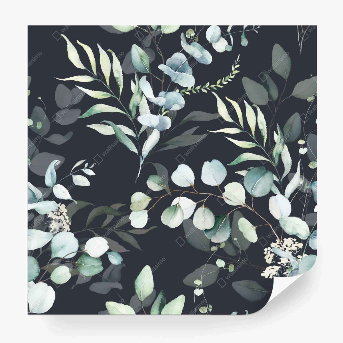 Fototapete eukalyptus aquarell botanisches muster auf dunklem hintergrund – Wallnifity®