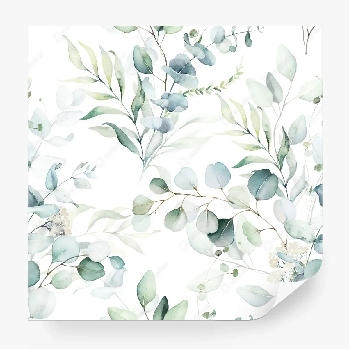 Fototapete aquarell eukalyptus blättermuster – Wallnifity®