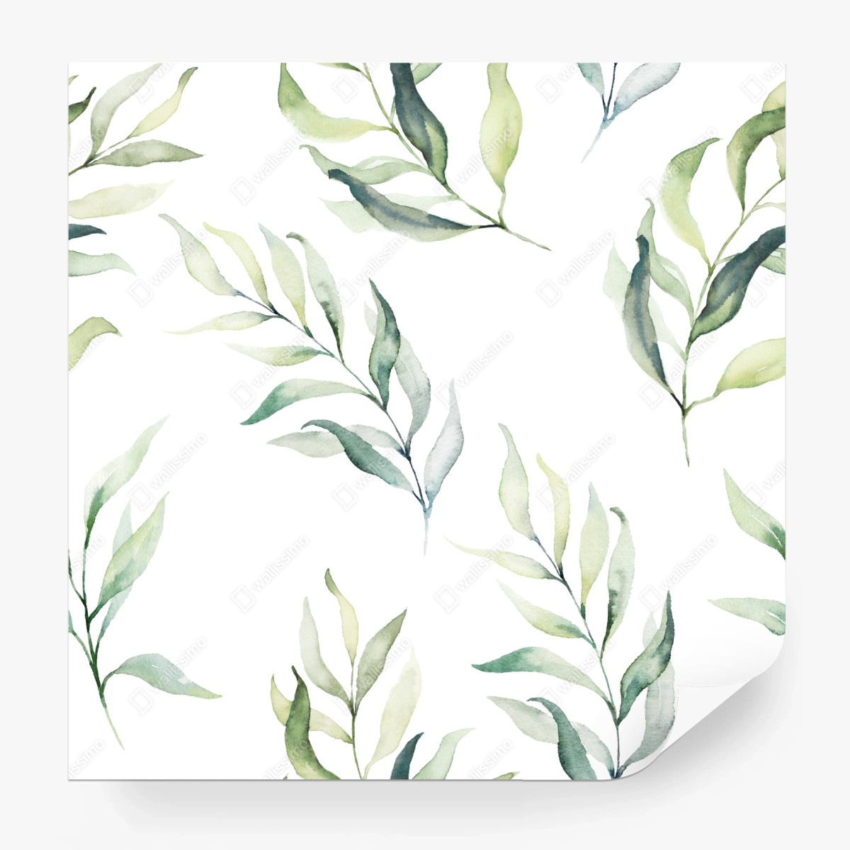 Fototapete sanftes aquarellmuster mit eukalyptusblättern – Wallnifity®