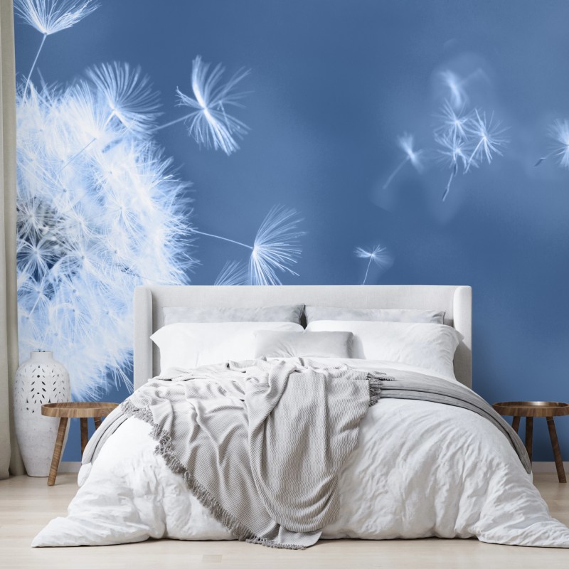 Fototapete zarte löwenzahnsamen in blau – Wallnifity®