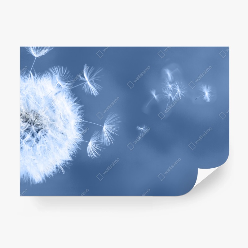 Fototapete abstrakte stahlbrücke in perspektive – Wallnifity®