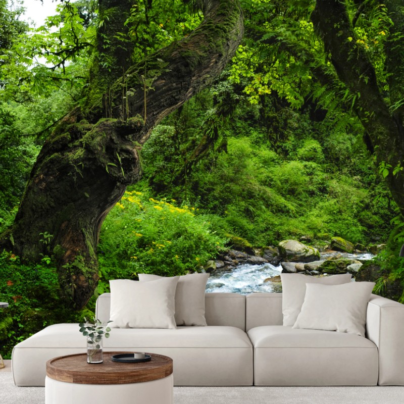 Fototapete moosiger waldbach panorama – Wallnifity®