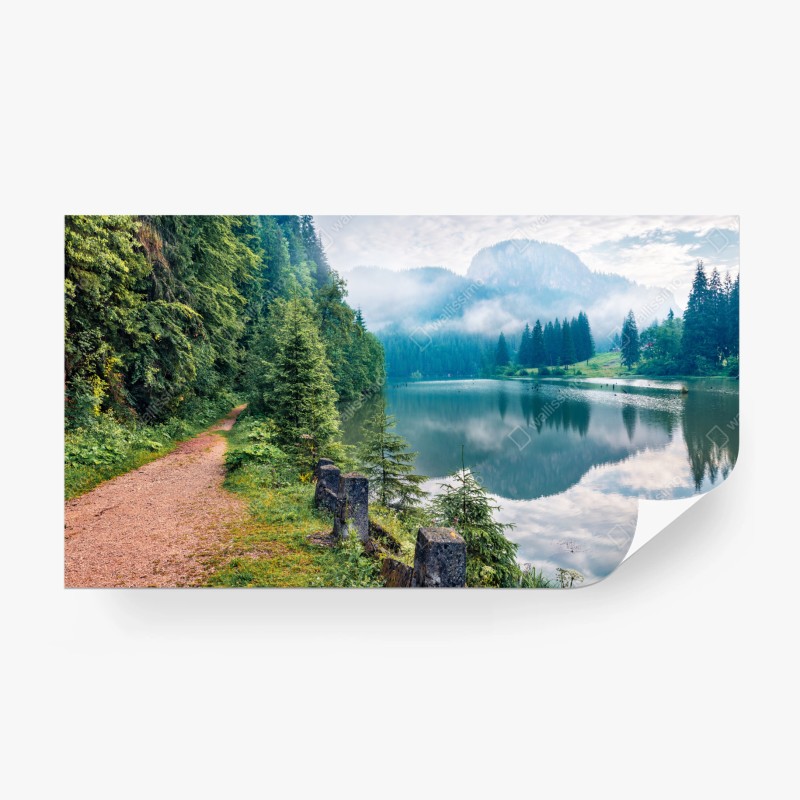 Fototapete majestätischer elefant im sonnenlichtdurchfluteten wald – Wallnifity®