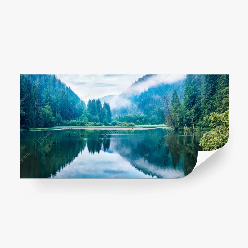 Fototapete drei rote tulpen vor schwarzem hintergrund – Wallnifity®