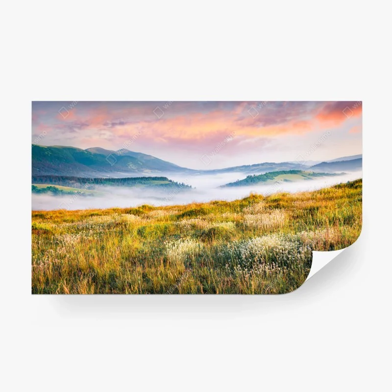 Fototapete zartes kirschblütenmuster – Wallnifity®