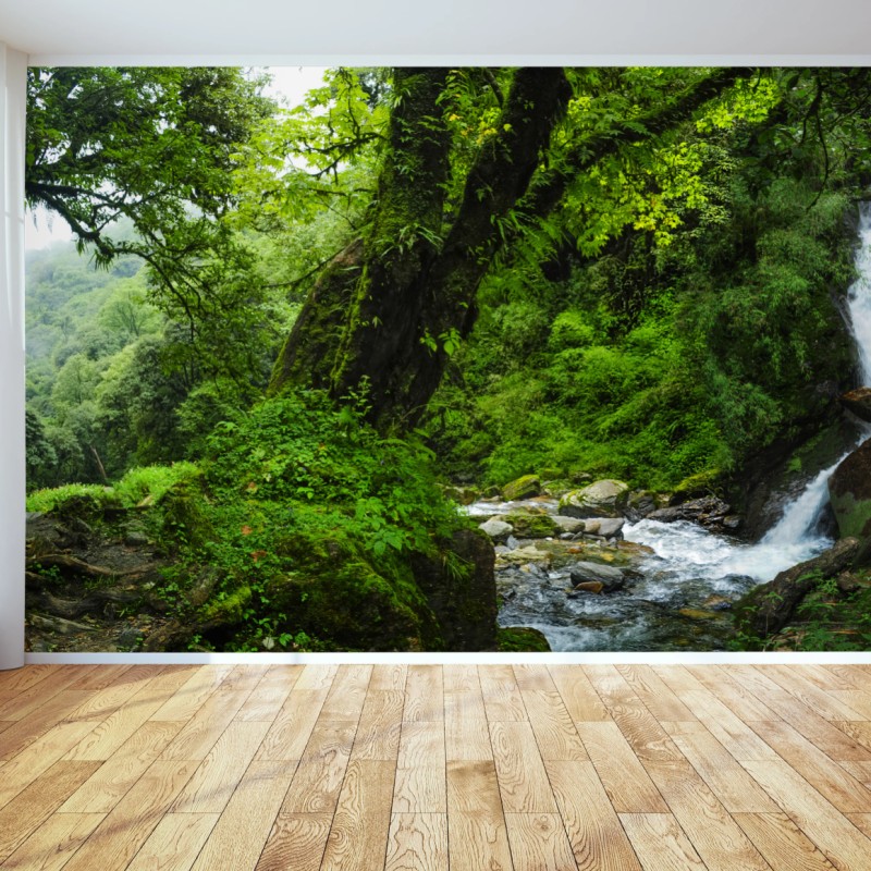 Fototapete üppiger grüner wasserfall im wald – Wallnifity®