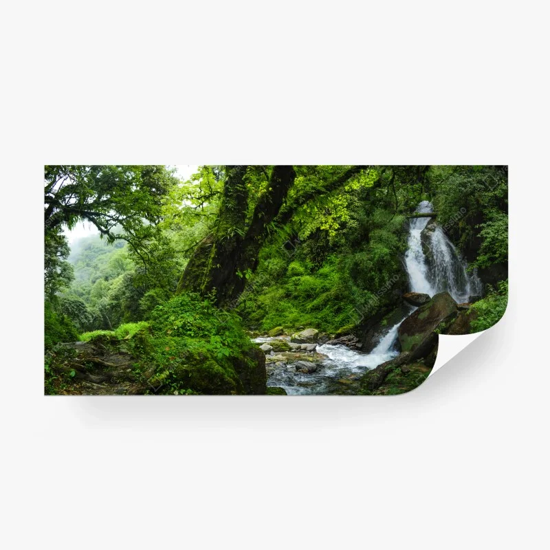 Fototapete üppiger grüner wasserfall im wald
