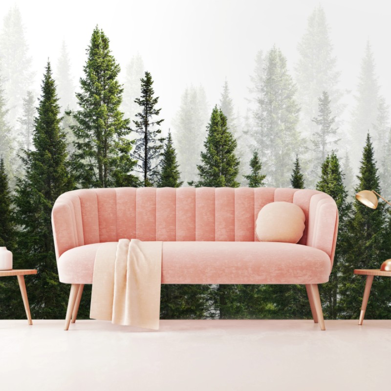 Fototapete nebliger tannenwald – Wallnifity®