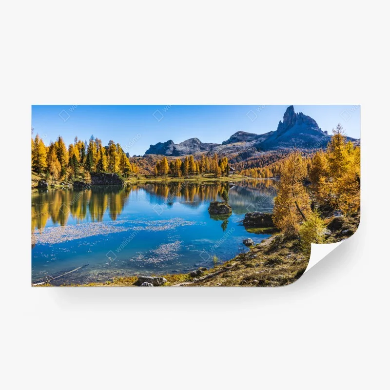 Fototapete – Wallnifity®