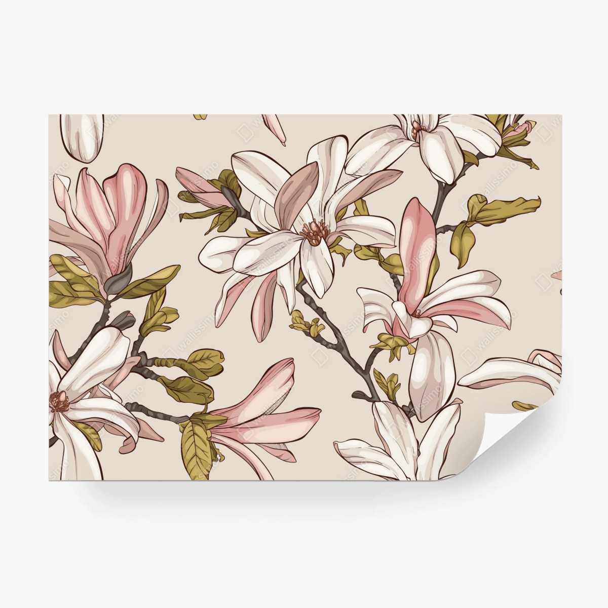 Fototapete pastell magnolien auf beigem grund – Wallnifity®