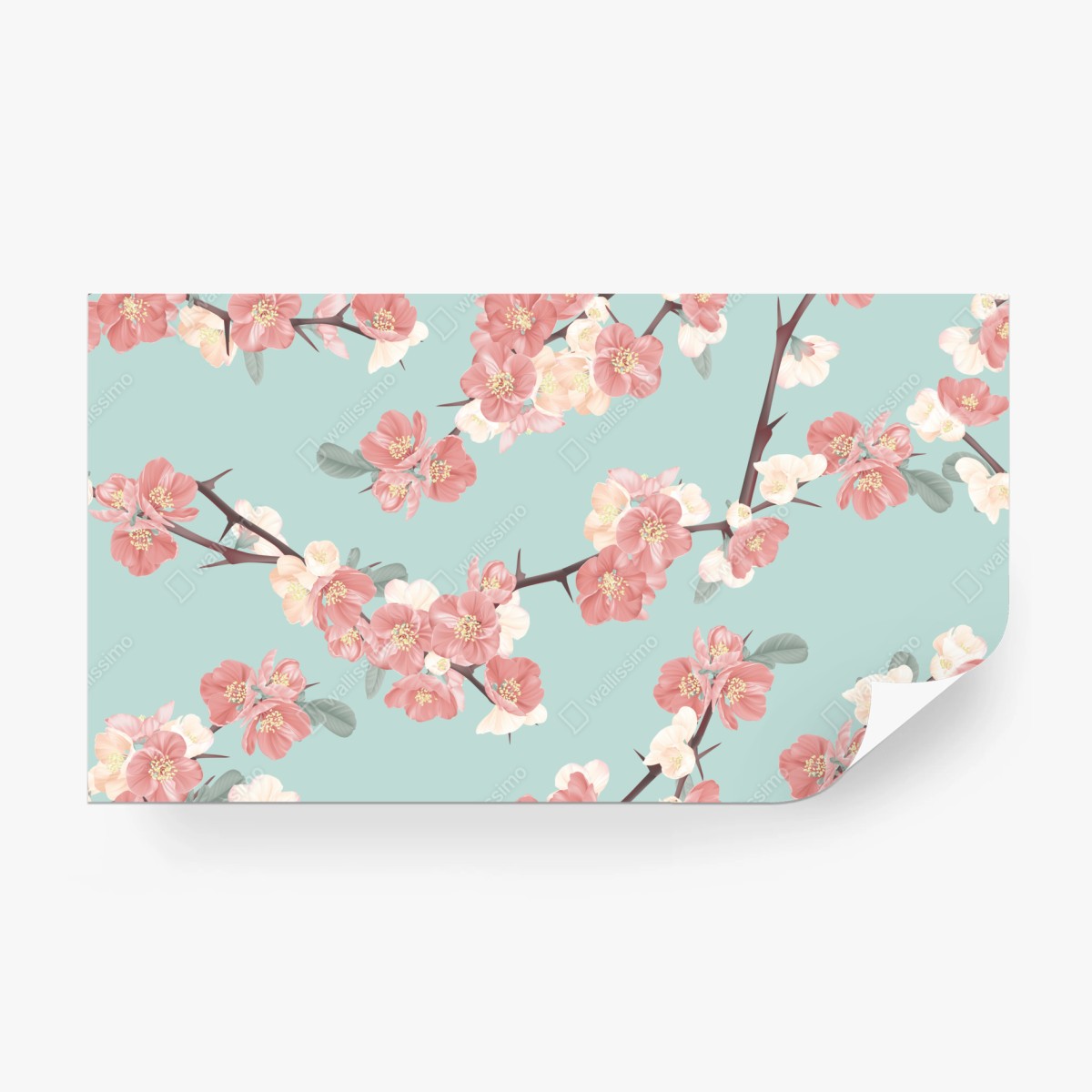 Fototapete pastelliges kirschblütenmuster auf mintfarbenem hintergrund – Wallnifity®