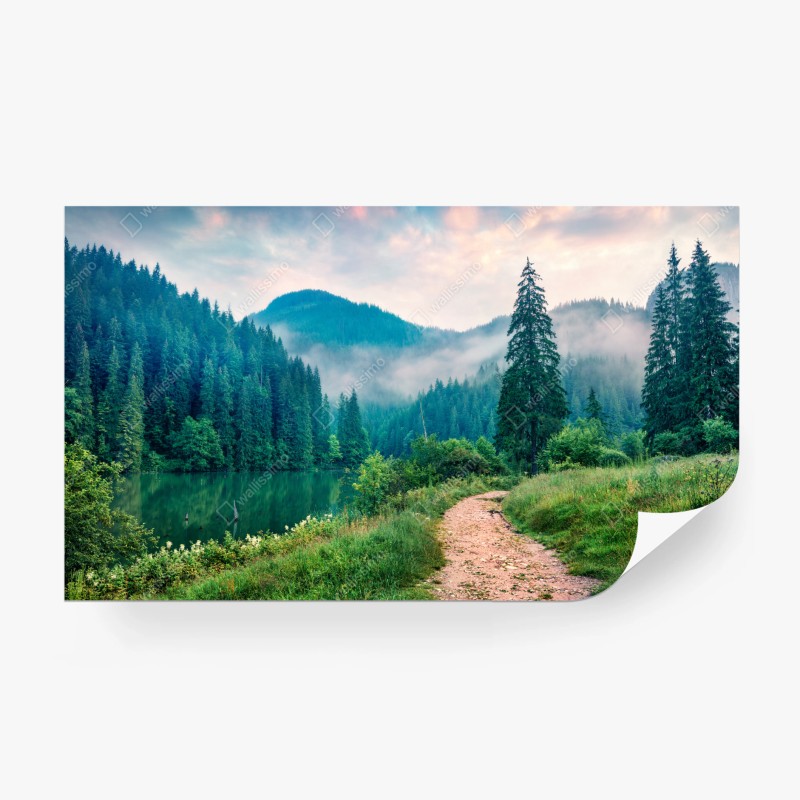 Fototapete neblige herbstbrücke mit schwan – Wallnifity®