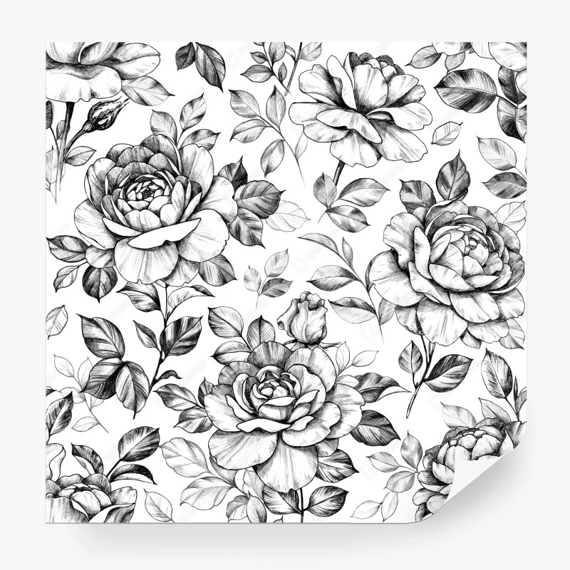 Fototapete sonnenbeschienenes rapsfeld im abendlicht – Wallnifity®