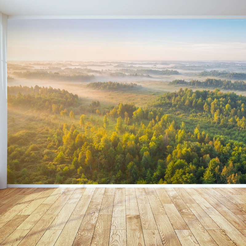 Fototapete nebliger morgen im sumpf von Zvanets – Wallnifity®