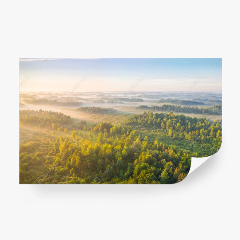 Fototapete nebliger morgen in den Karpaten – Wallnifity®