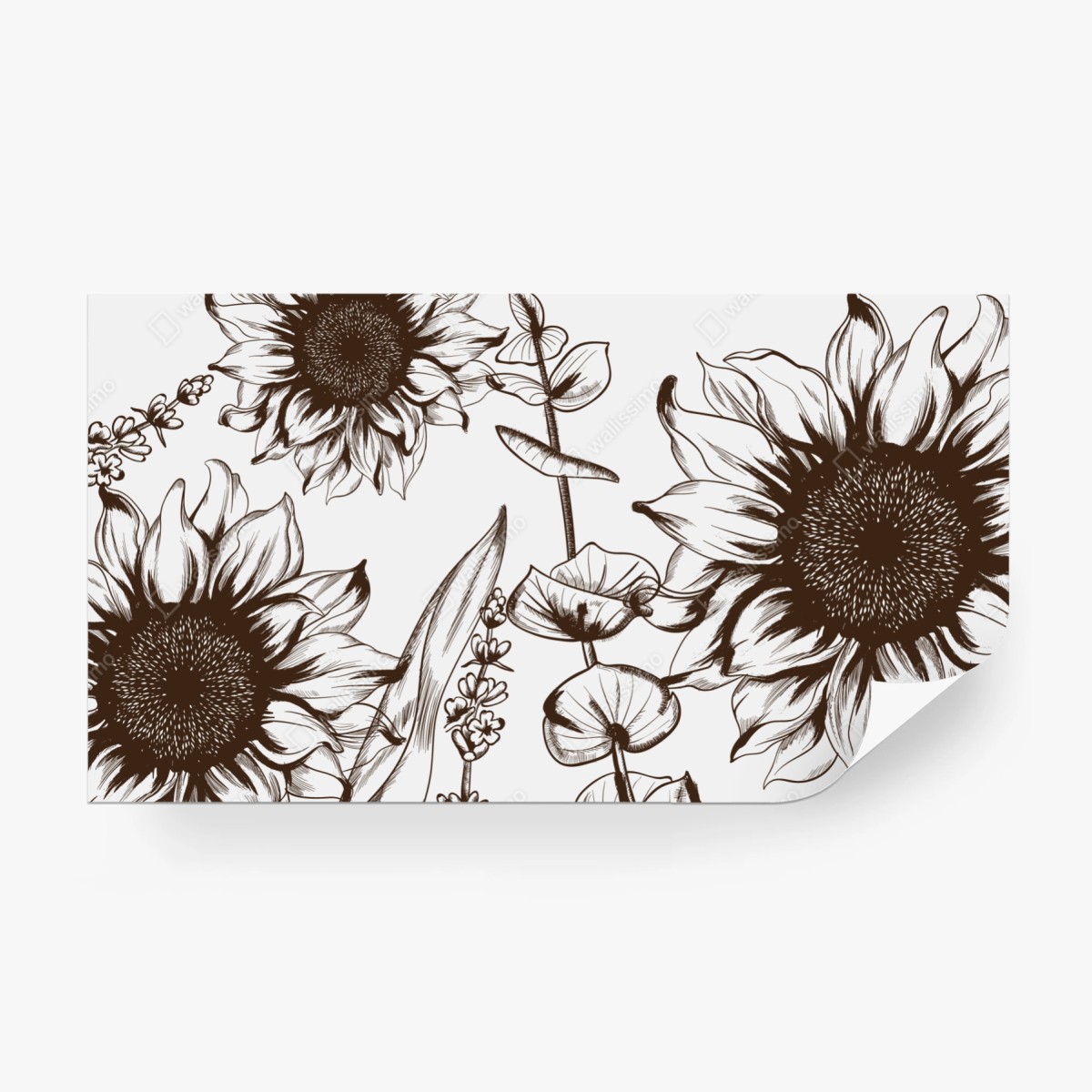 Fototapete botanische sonnenblumenillustration in sepia – Wallnifity®