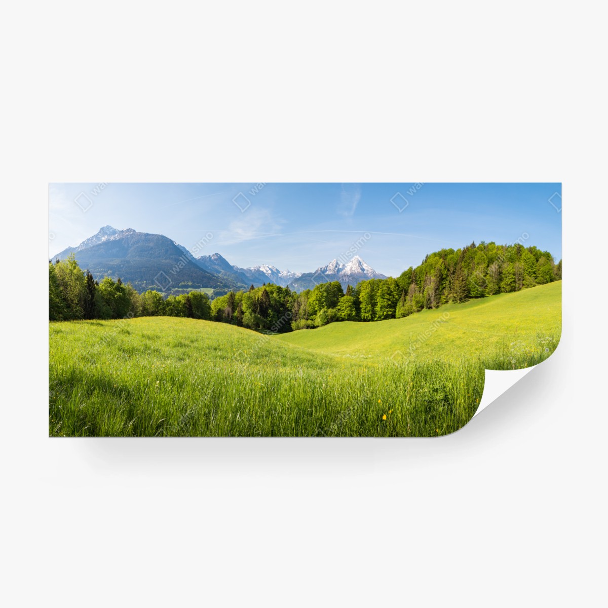 Fototapete ruhiges alpines wiesenpanorama – Wallnifity®