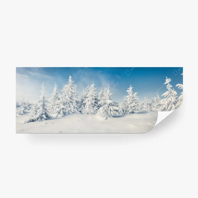 Fototapete panorama verschneiten waldes