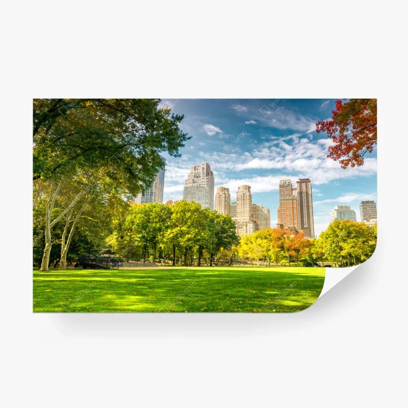 Fototapete Central Park herbst panorama