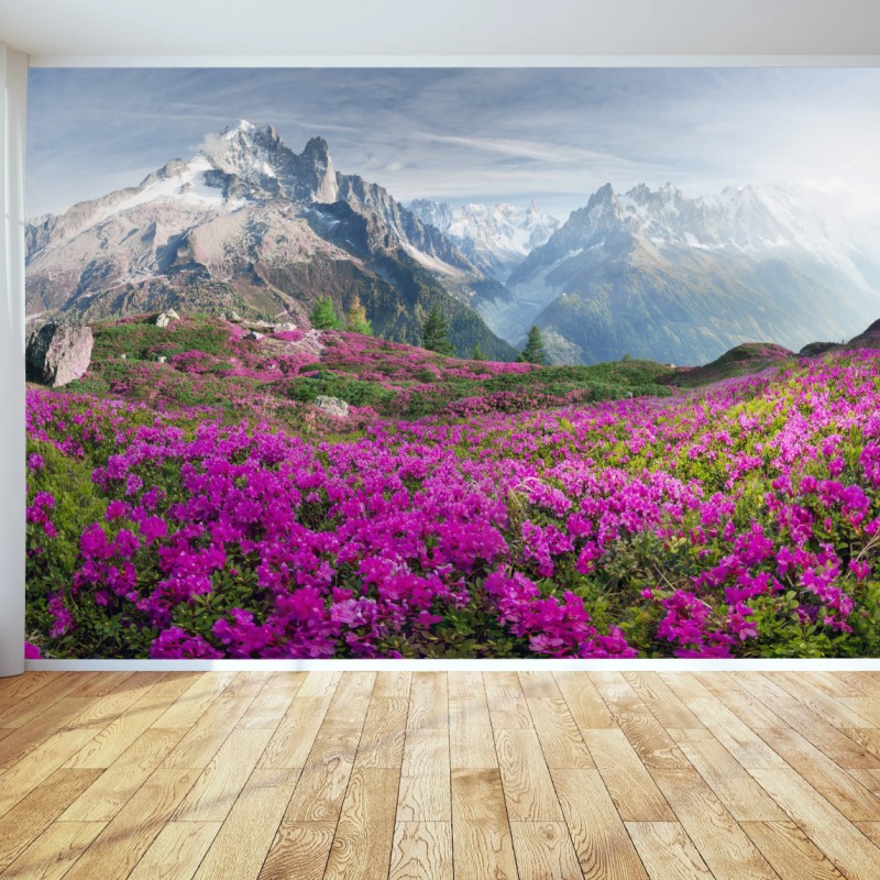 Fototapete alpine rhododendronwiese bei Mont Blanc – Wallnifity®