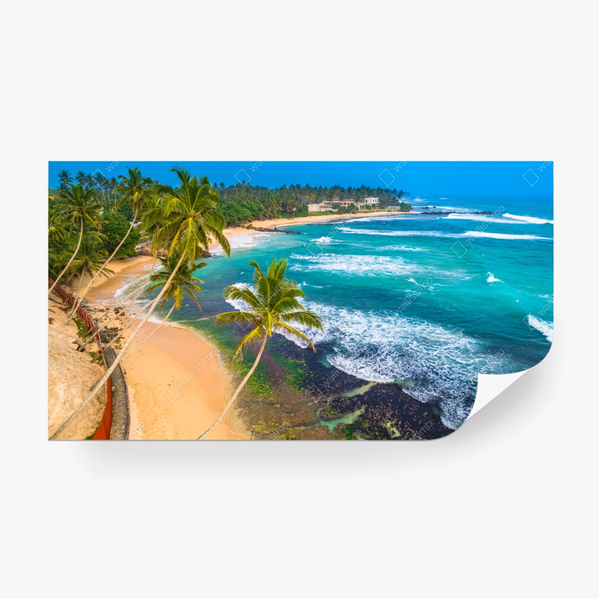 Fototapete türkisfarbene tropische küste mit palmen – Wallnifity®