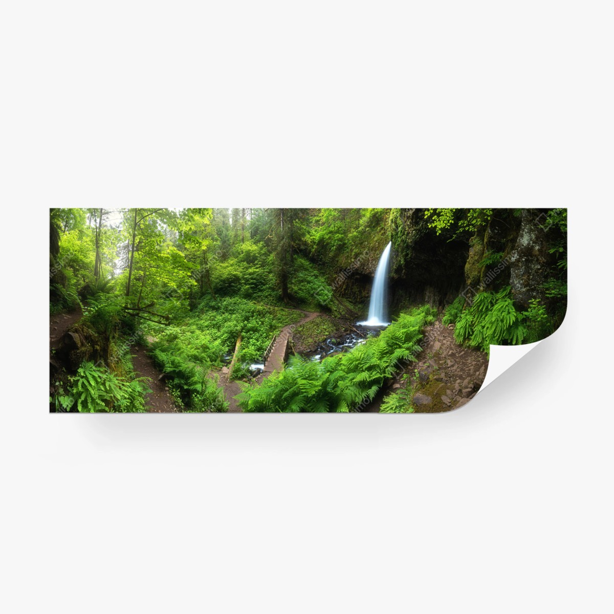 Fototapete üppiger waldwasserfall panorama – Wallnifity®