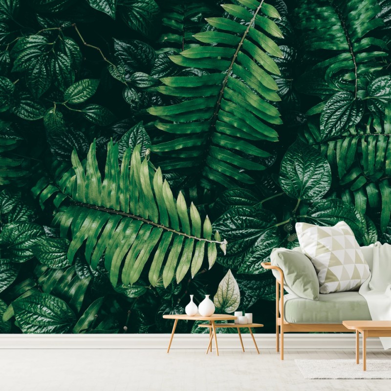 Fototapete üppige tropische blätter – Wallnifity®