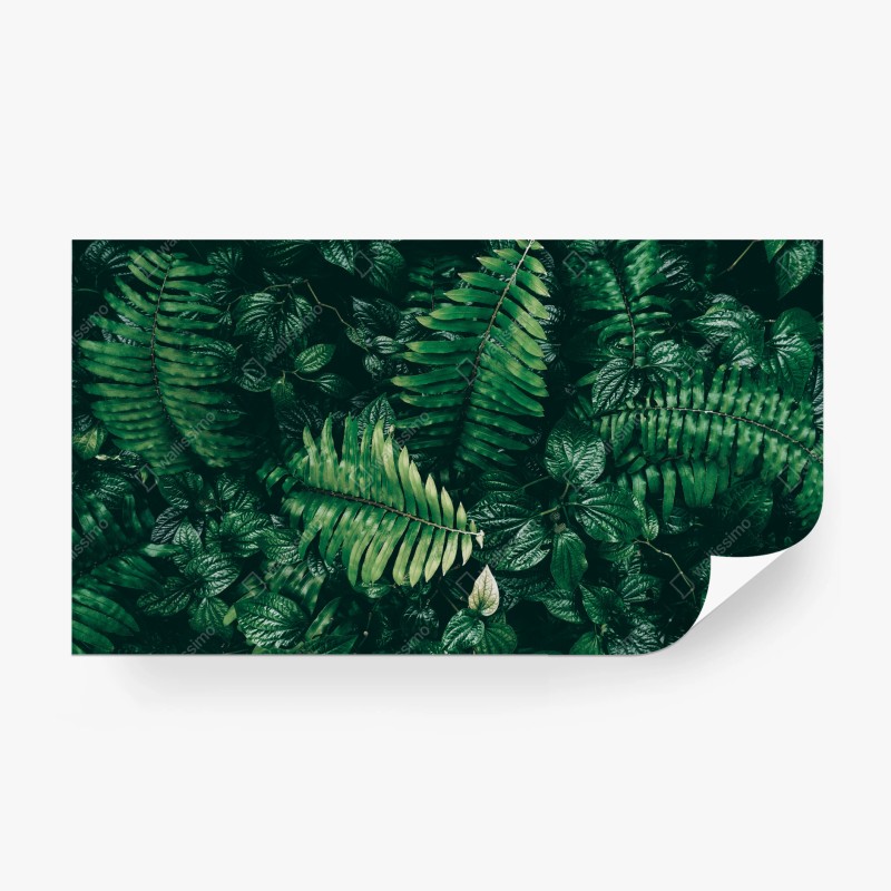 Fototapete üppige tropische blätter – Wallnifity®