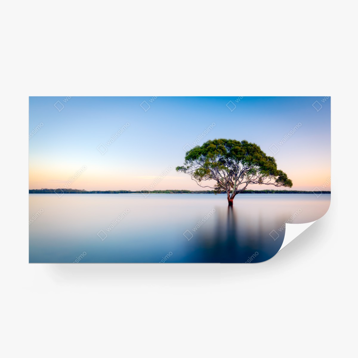 Fototapete einsamer baum am stillen see – Wallnifity®