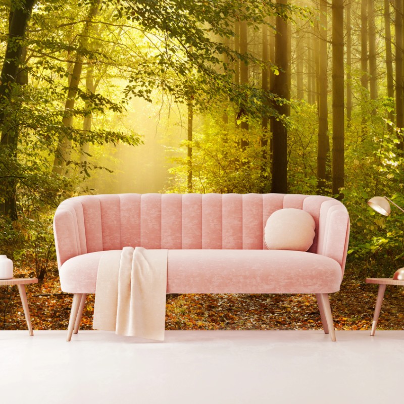 Fototapete sonnenbeschienener waldweg im herbst – Wallnifity®