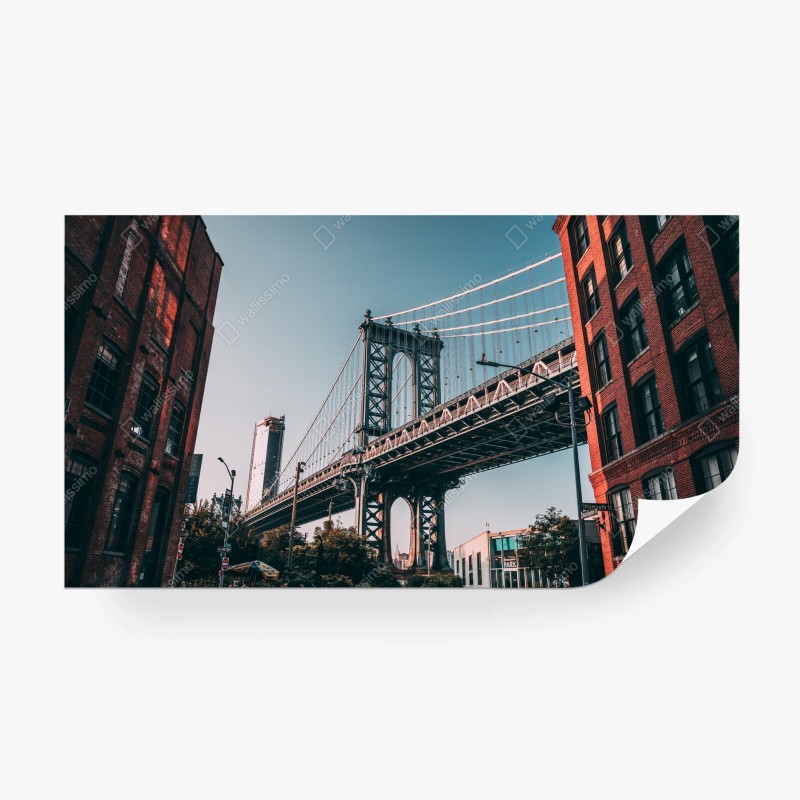 Fototapete nebliger wald in grautönen – Wallnifity®