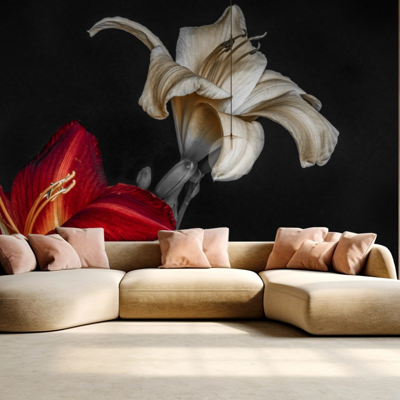 Fototapete dramatische rote und cremefarbene lilien auf schwarzem hintergrund
