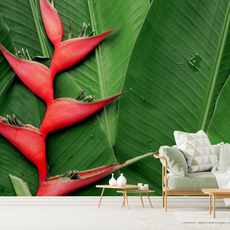 Fototapete leuchtende heliconia auf tropischen blättern – Wallnifity®