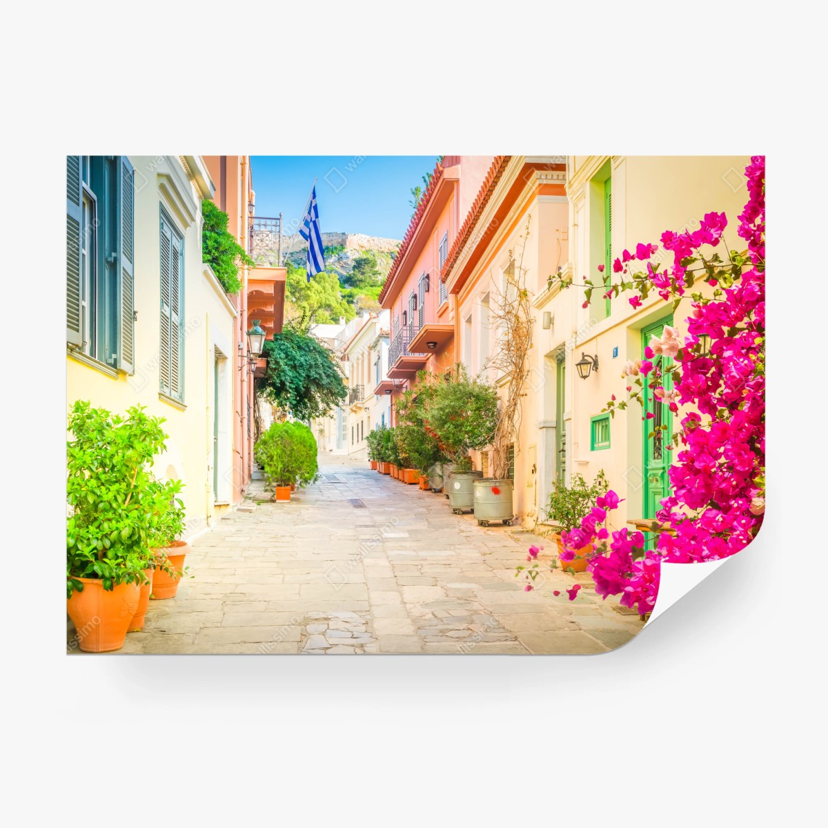 Fototapete sonnige griechische gasse mit bougainvillea – Wallnifity®