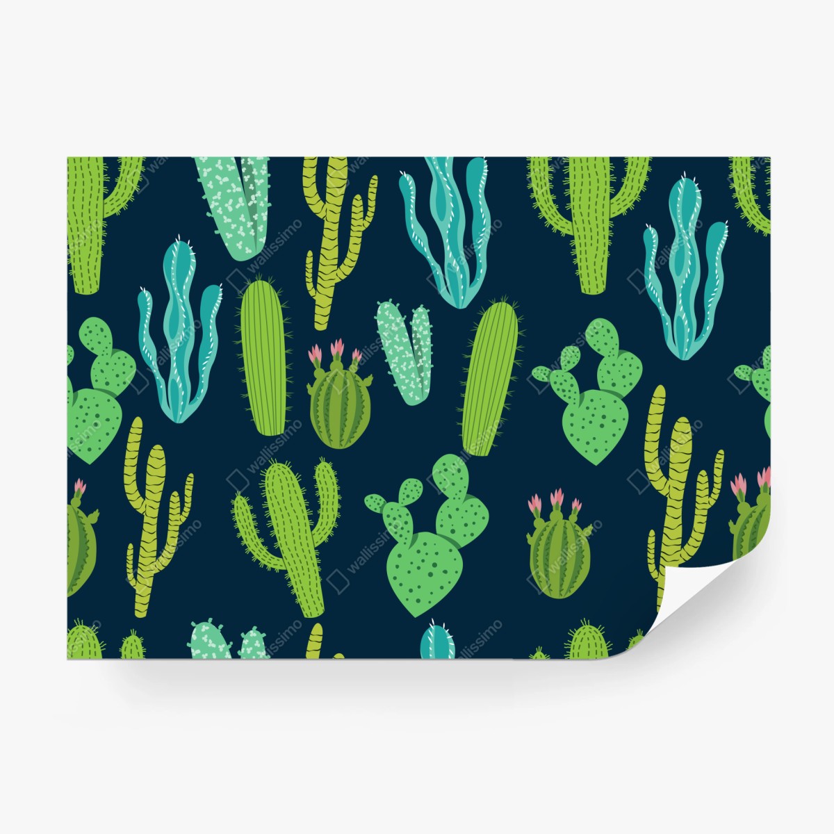 Fototapete kaktus- und sukkulentenmuster – Wallnifity®