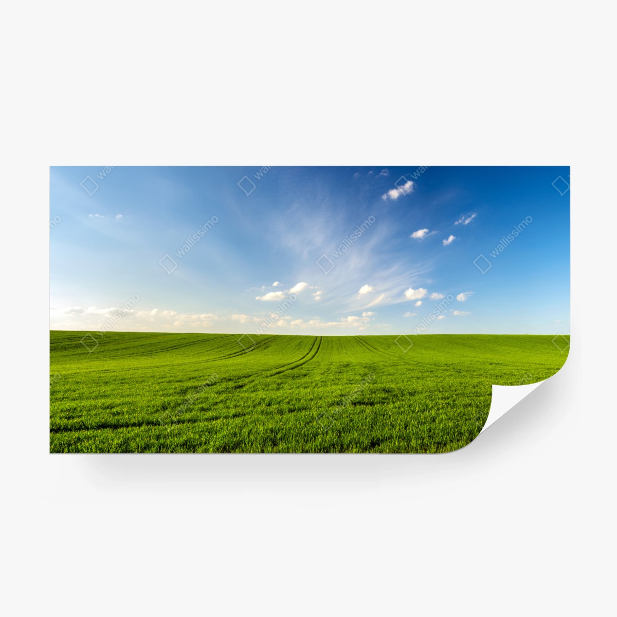 Fototapete frühlingsgrüne wiesenpanorama – Wallnifity®