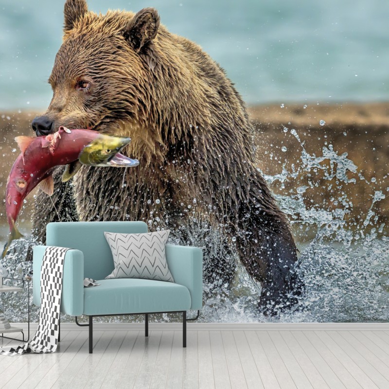 Fototapete braunbär fängt lachs im fluss – Wallnifity®