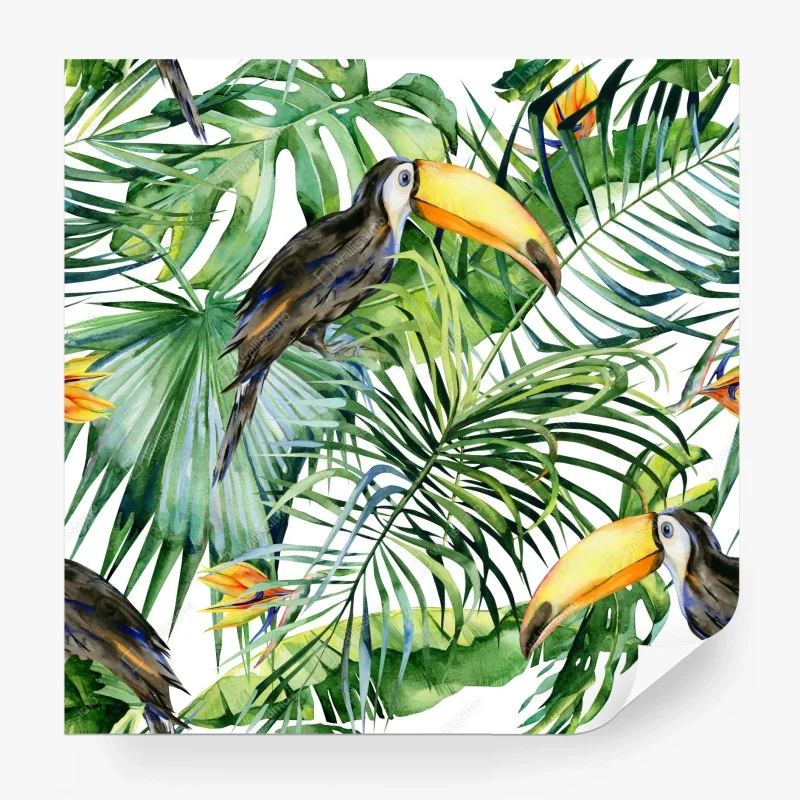 Fototapete üppige tropische monstera-blätter – Wallnifity®