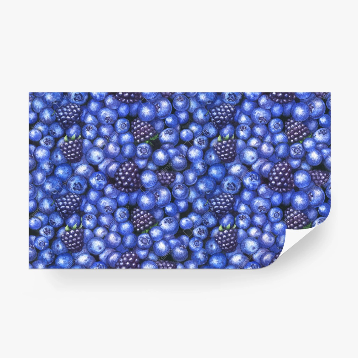 Fototapete aquarellmuster mit blaubeeren und brombeeren – Wallnifity®