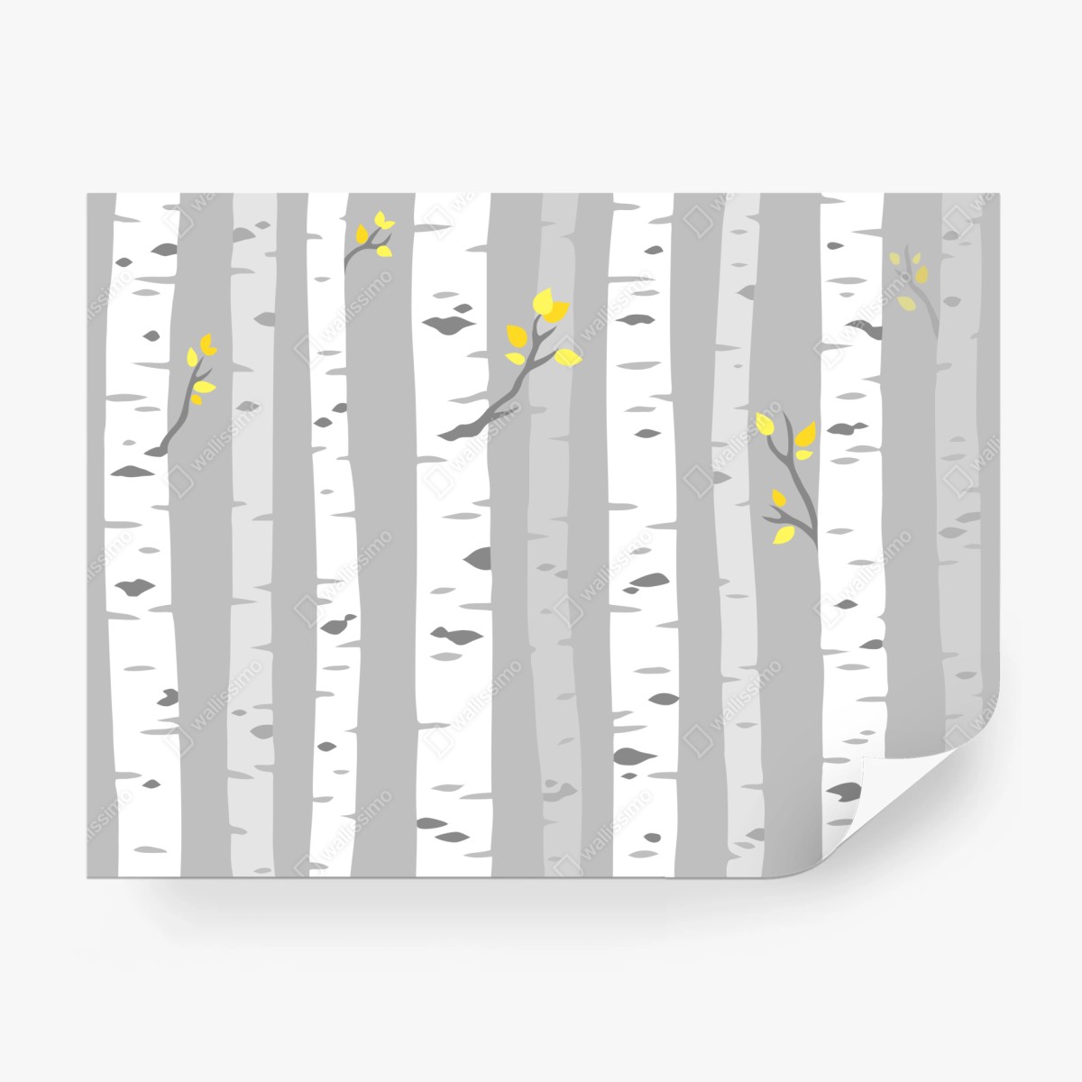 Fototapete skandinavischer birkenwald – Wallnifity®